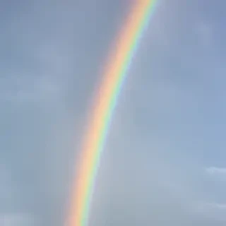 transparent rainbow