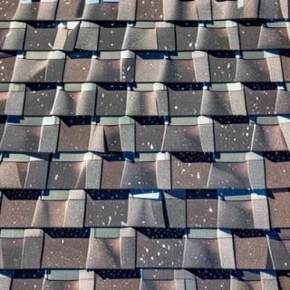 picture of shingles