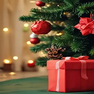 christmas cover photos