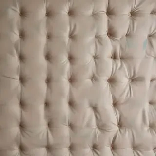 bed back ground