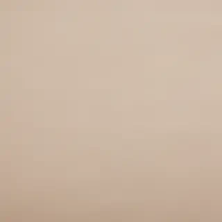canvas texture overlay