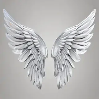 wings transparent