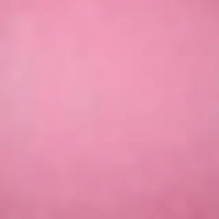 pink plain bg