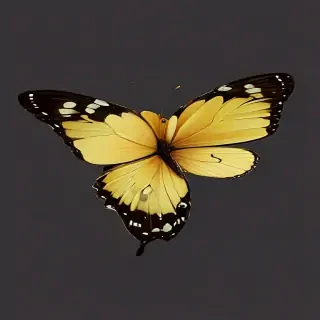 butter fly png