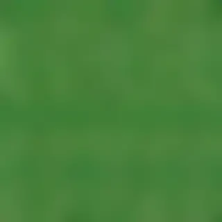 green colour background wallpaper