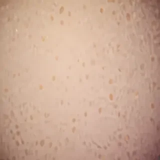 chat background