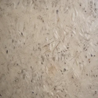 scratch texture