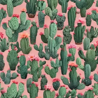 aesthetic cactus wallpaper