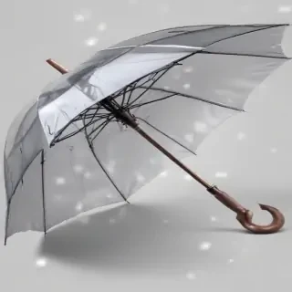 umbrella transparent background