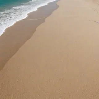 beach transparent