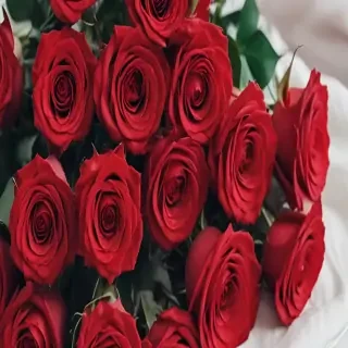 red roses aesthetic