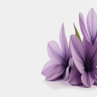 purple flowers png