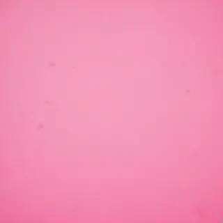 pink iphone wallpaper