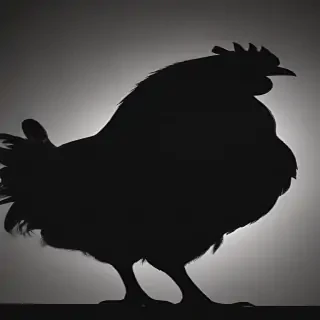 silhouette of a chicken
