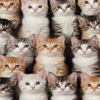 iphone wallpaper cats
