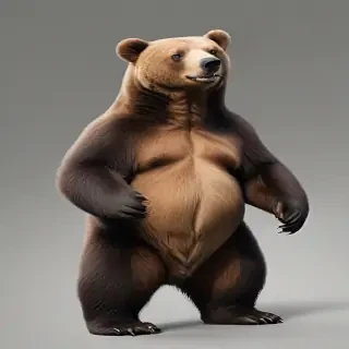 png bear