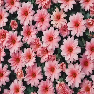 flower background iphone