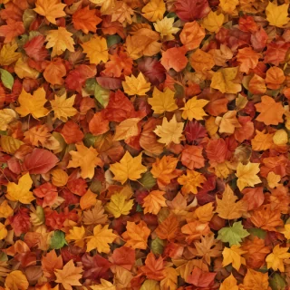 fall leaves png transparent