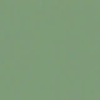 sage green bg
