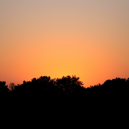 Create a minimalist landscape of a sunset behind dark silhouettes of trees, using a DSLR camera with a 50mm lens at f/2.8 aperture, ISO 100, and a focal length of 50mm, shot at a low angle to enhance the foreground and create a dramatic contrast against a soft gradient sky.