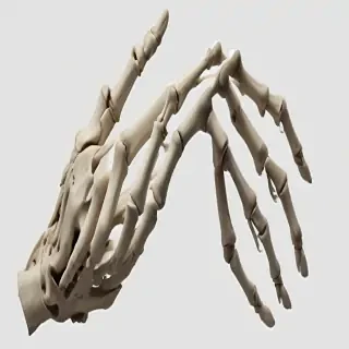 skeleton hand png