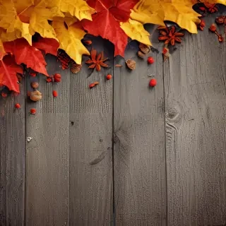 wallpaper autumn iphone