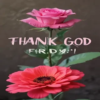 images of thank god its friday