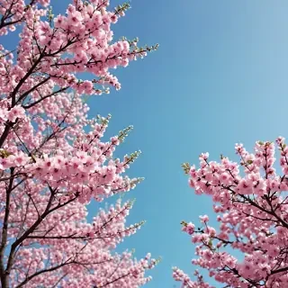 springtime iphone wallpaper