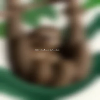 sloth background