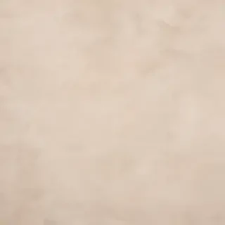 neutral iphone wallpaper