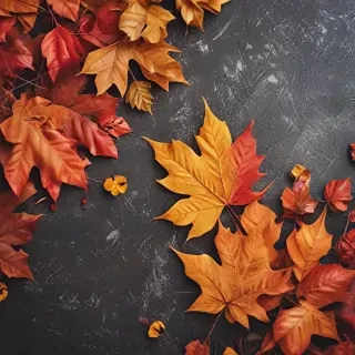 fall wallpaper iphone