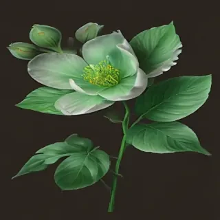 green flower png
