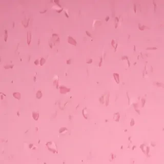 pink background iphone