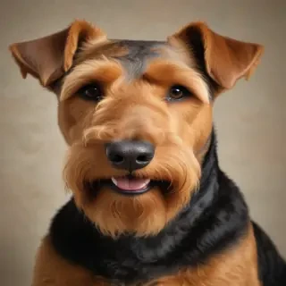 airedale terrier