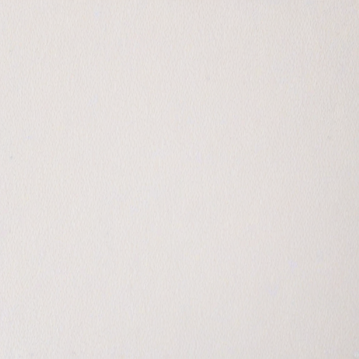 white background aesthetic