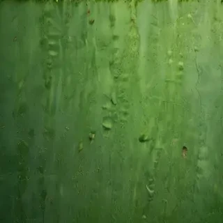 green textures