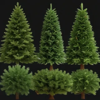 chirstmas tree png