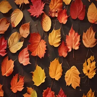 autumn leaves iphone wallpaper