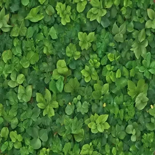 leaf backgrounds