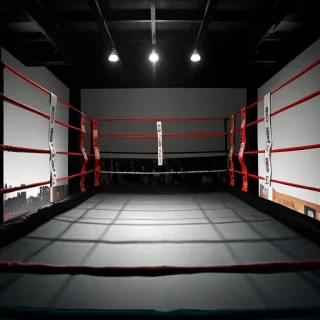 boxing ring wallpaper