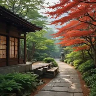 freeuse japan