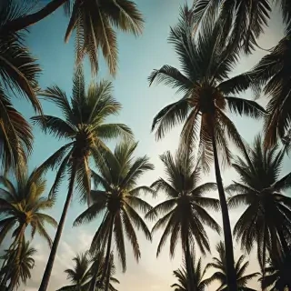 palm trees background