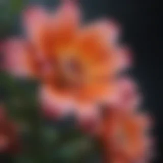 flower computer wallpaper