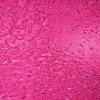 hot pink background