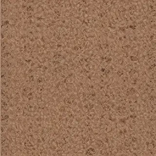 carpet png