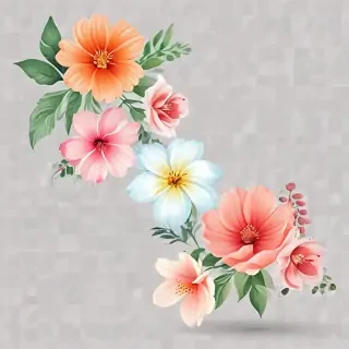 transparent background flower clipart