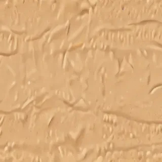 cartoon sand