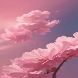 pink aesthetic phone wallpaper