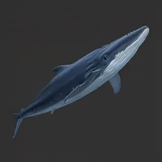 blue whale png