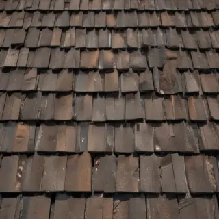 shingles images